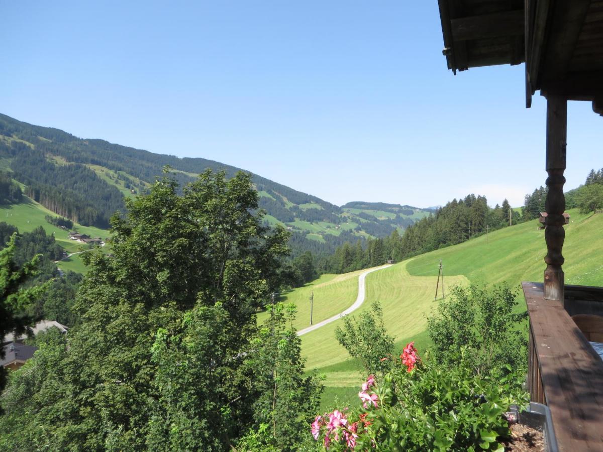 Haus Moosbrunn Appartement Alpbach Buitenkant foto