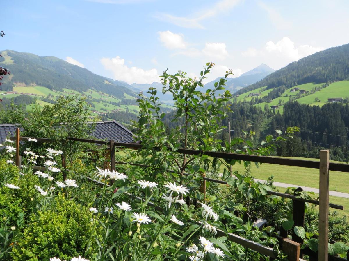 Haus Moosbrunn Appartement Alpbach Buitenkant foto